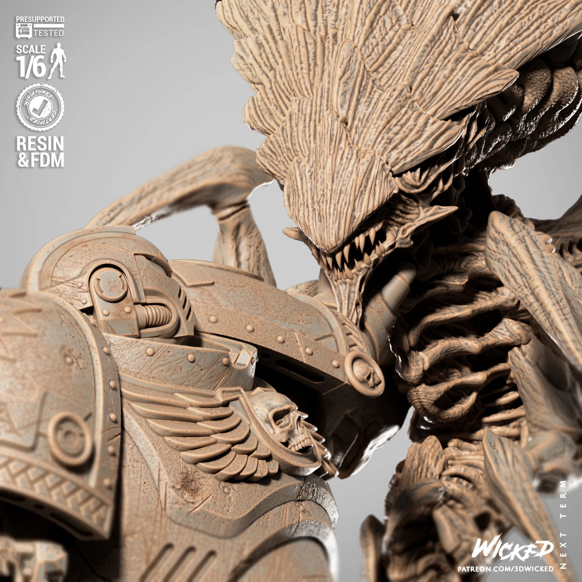 Titus – image 5